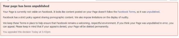 incidents on teesside page removed for indecent porno content